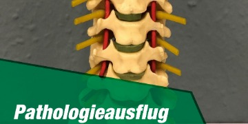 Pathologie München Bild zeigt einen Auschnitt einer Wirbelsäule und die Aufschrift "Pathologieausflug"